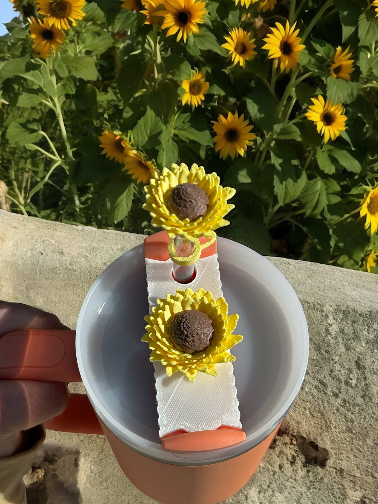 Sunshine Pomelo Sunflower Lid Topper